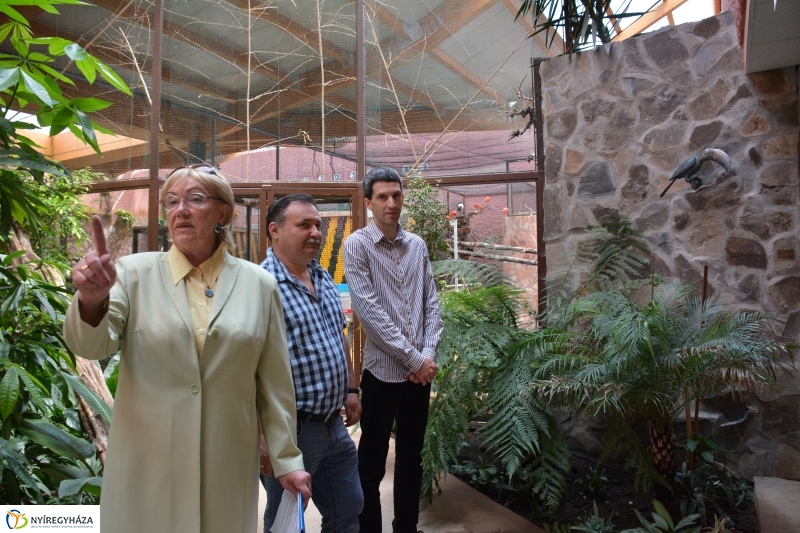 Bronz tukán szobor díszíti a Viktória Házat