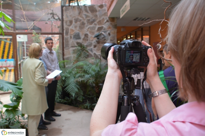 Bronz tukán szobor díszíti a Viktória Házat