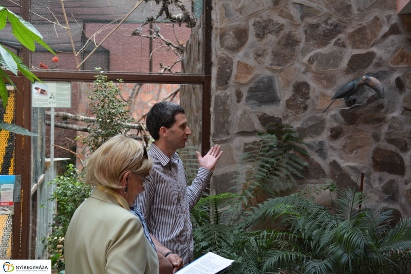 Bronz tukán szobor díszíti a Viktória Házat