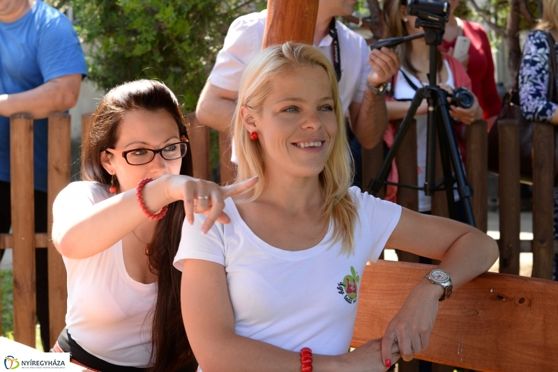 Így tedd rá program avató