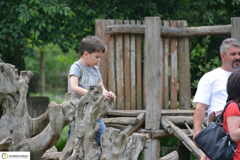 Gyereknap a Sóstói Múzeumfaluban