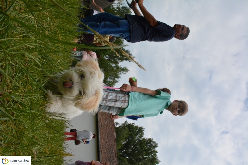 Gyereknap a Sóstói Múzeumfaluban