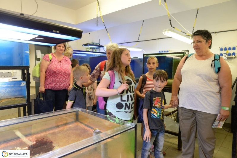 Óceánok Világnapja az Állatparkban