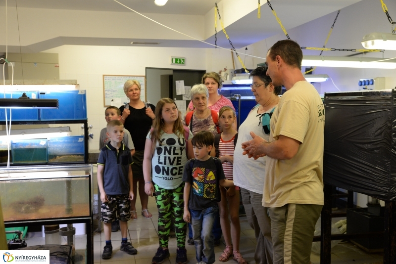 Óceánok Világnapja az Állatparkban