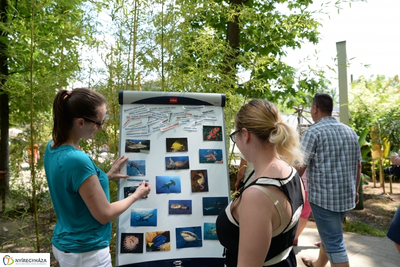 Óceánok Világnapja az Állatparkban