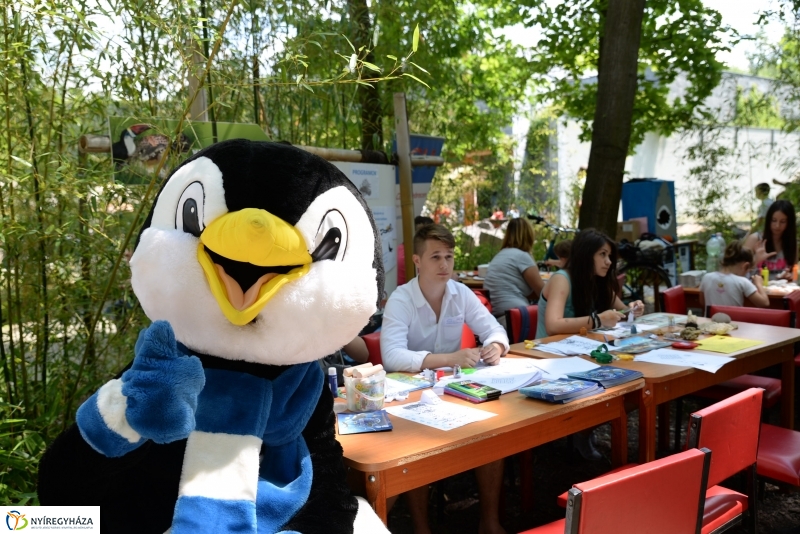 Óceánok Világnapja az Állatparkban