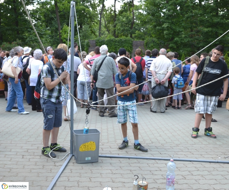 Óceánok Világnapja az Állatparkban