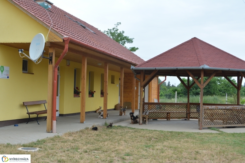 Telt ház az állatotthonban