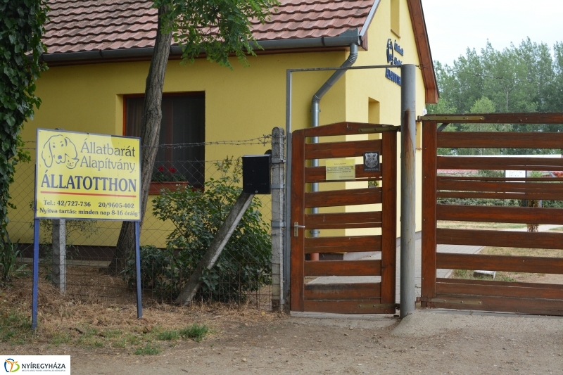 Telt ház az állatotthonban