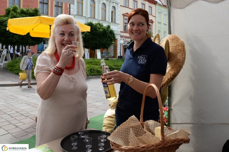 Eperjesen mutatkozott be Nyíregyháza