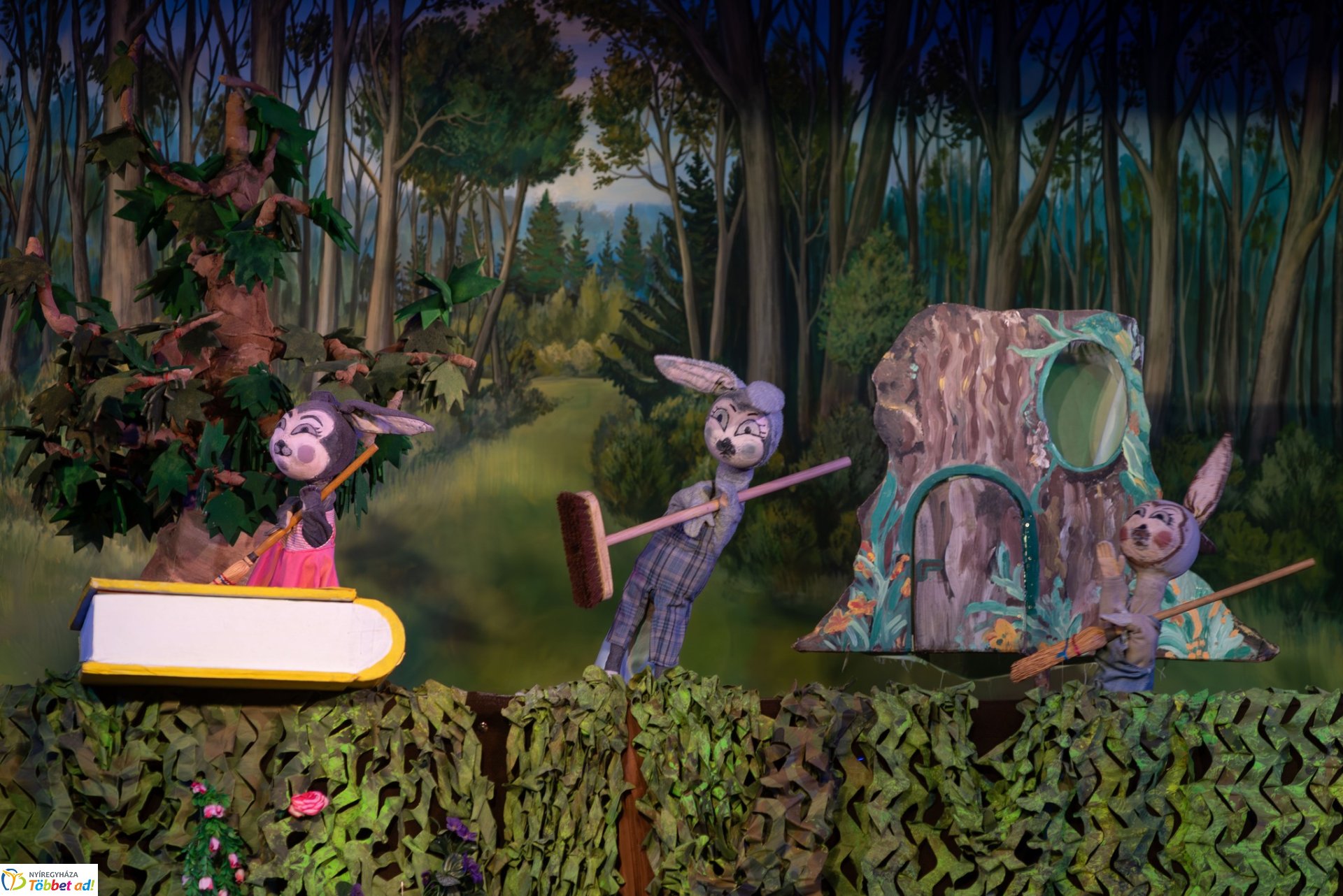 25 éves a Burratino