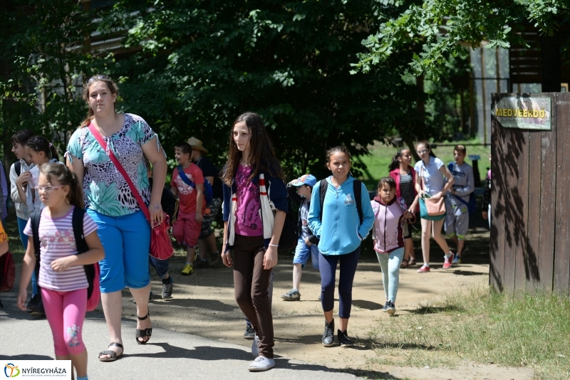 Már látogatható az afrikai elefántbébi