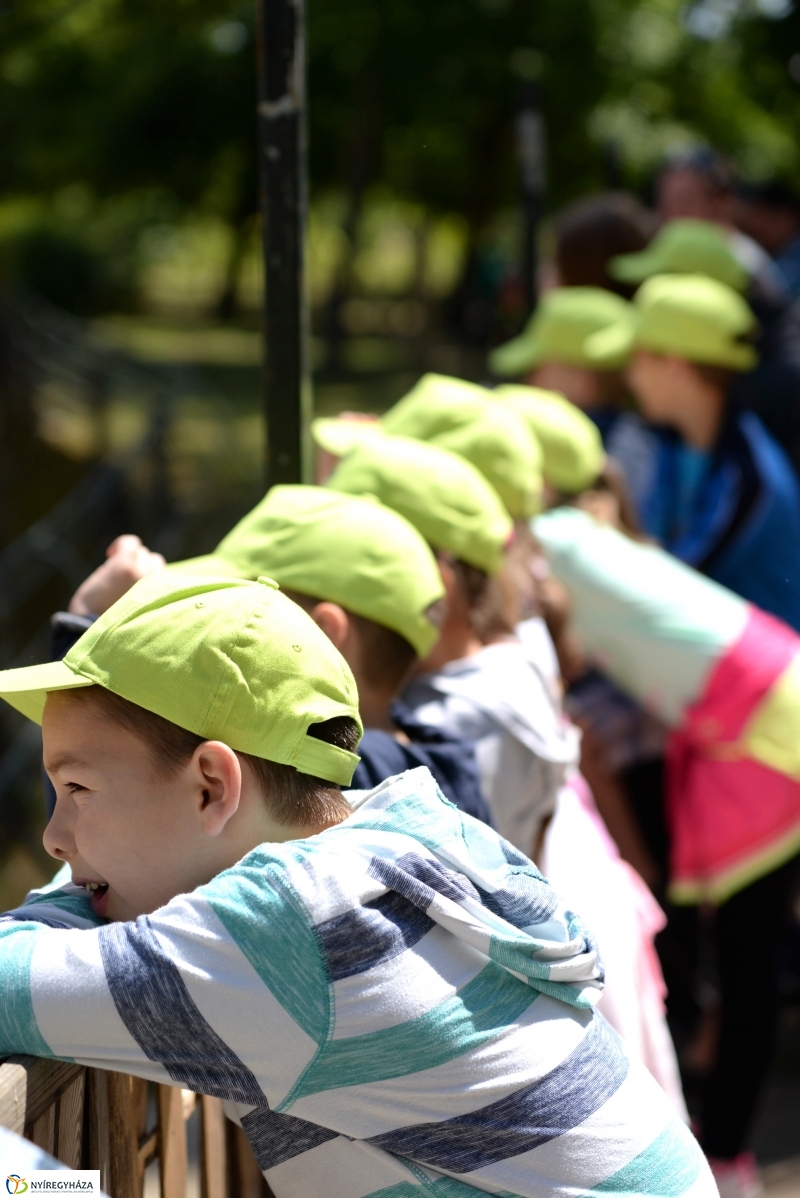 Már látogatható az afrikai elefántbébi