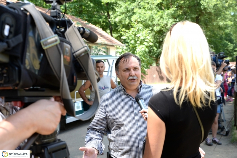 Már látogatható az afrikai elefántbébi