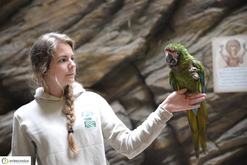 NAV lefoglalás-adomány az Állatparknak