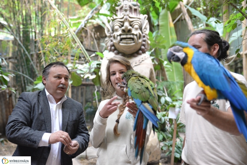 NAV lefoglalás-adomány az Állatparknak