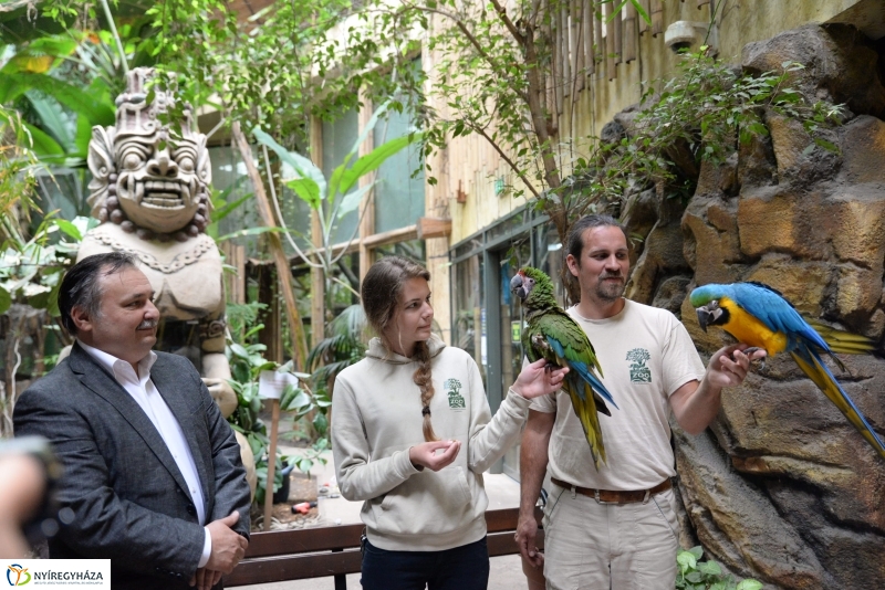 NAV lefoglalás-adomány az Állatparknak