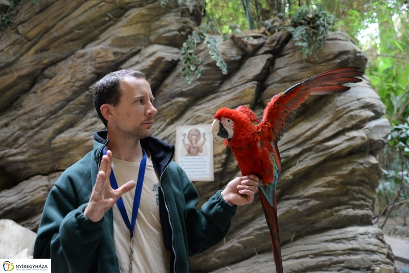 NAV lefoglalás-adomány az Állatparknak