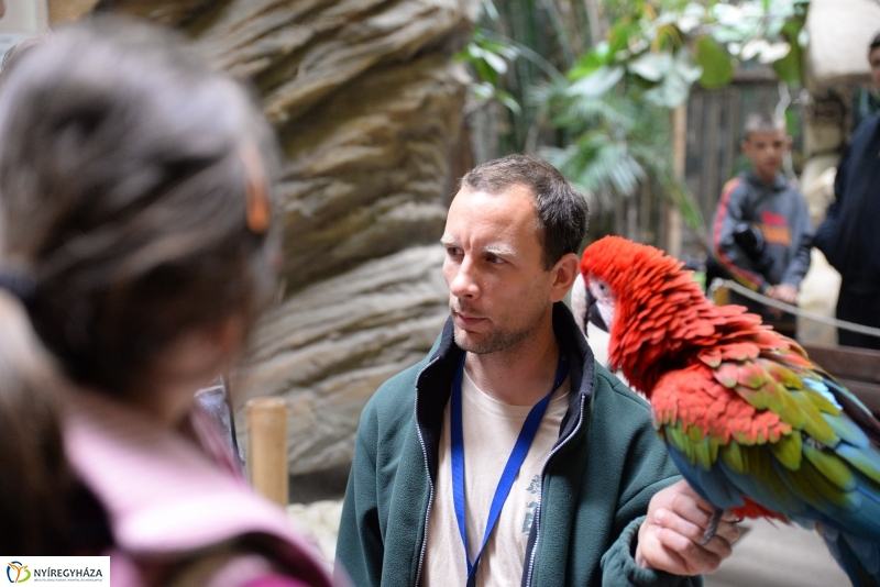 NAV lefoglalás-adomány az Állatparknak