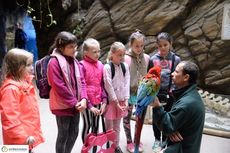 NAV lefoglalás-adomány az Állatparknak