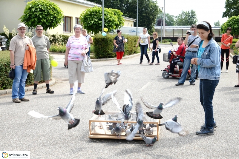 Családi nap az Esélycetrumban
