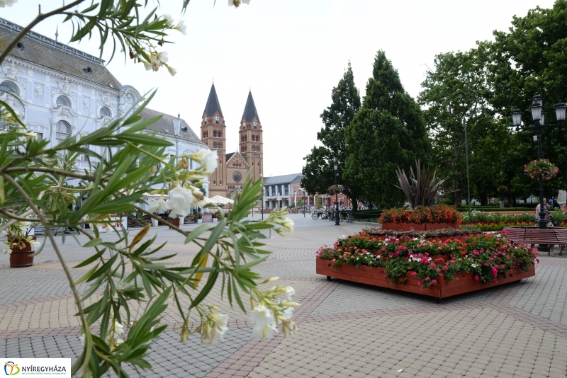 Nyíregyháza virágos belvárosa