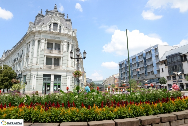 Nyíregyháza virágos belvárosa