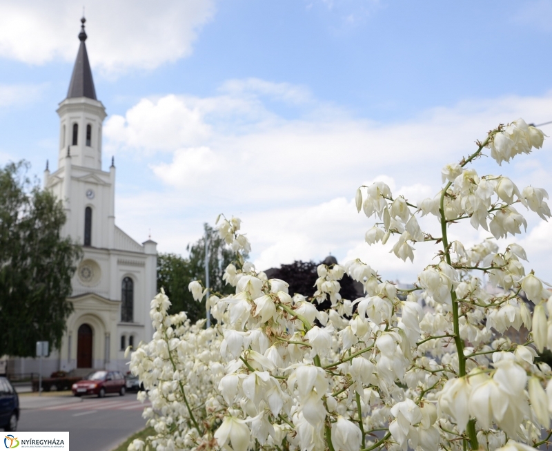 Nyíregyháza virágos belvárosa