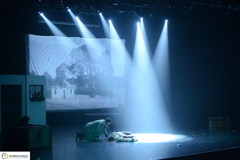 Fesztivál megnyitó a VMKK-ban