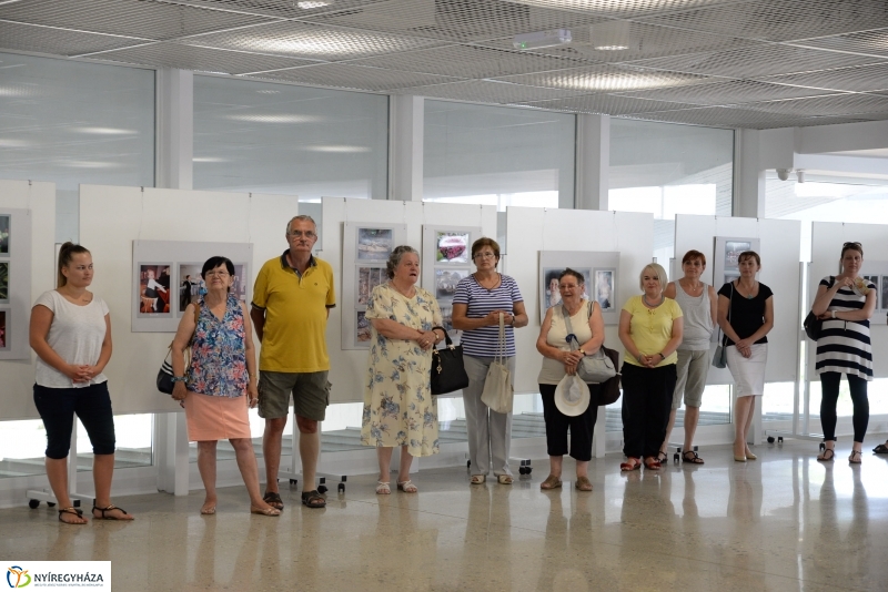 Kiállításmegnyitó Gyuka Ferenc munkáiból