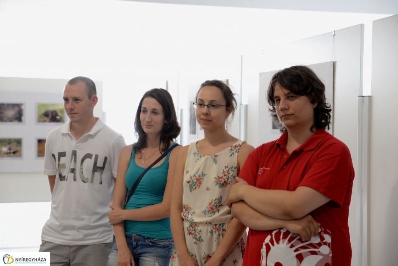 Kiállításmegnyitó Gyuka Ferenc munkáiból