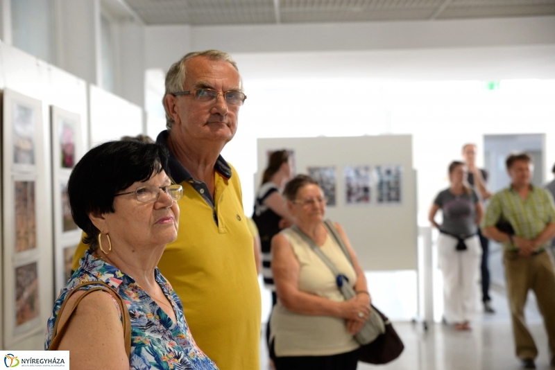 Kiállításmegnyitó Gyuka Ferenc munkáiból