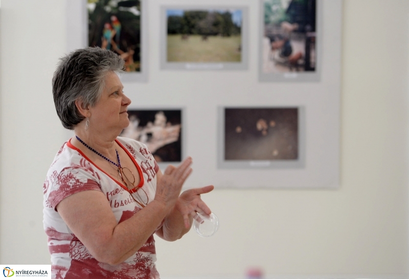 Kiállításmegnyitó Gyuka Ferenc munkáiból