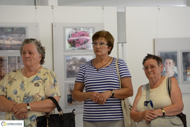 Kiállításmegnyitó Gyuka Ferenc munkáiból