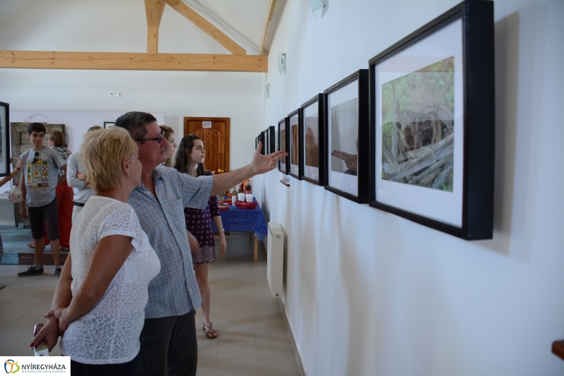Meggyes nap és Kiállítás megnyitó a Múzeumfaluban