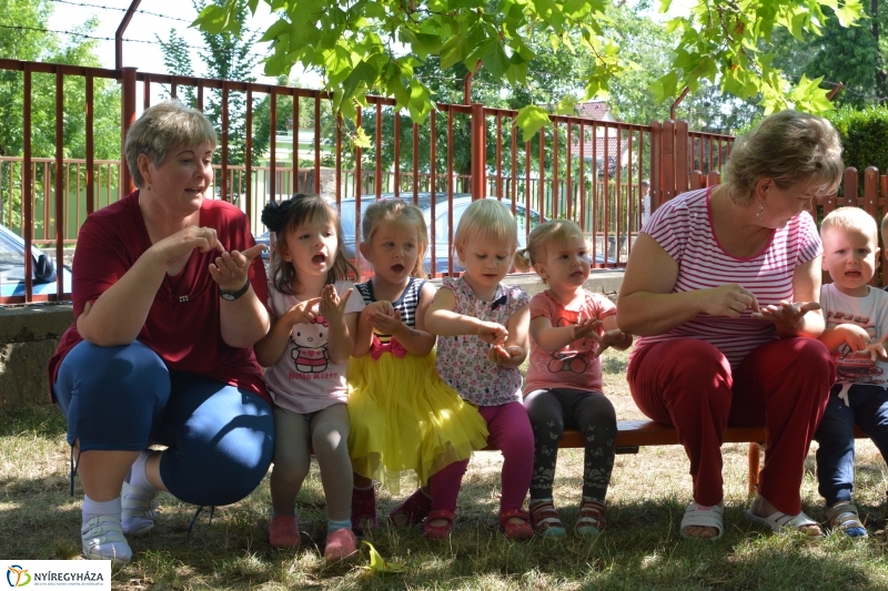 Játékokat kaptak a nyíregyházi bölcsődék 