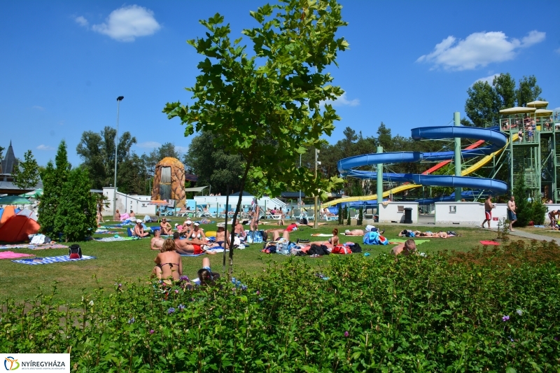 Legjobb döntés a melegben!