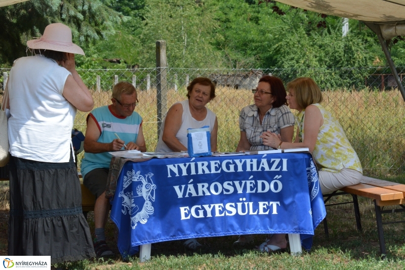 Igrice Nap Sóstóhegyen