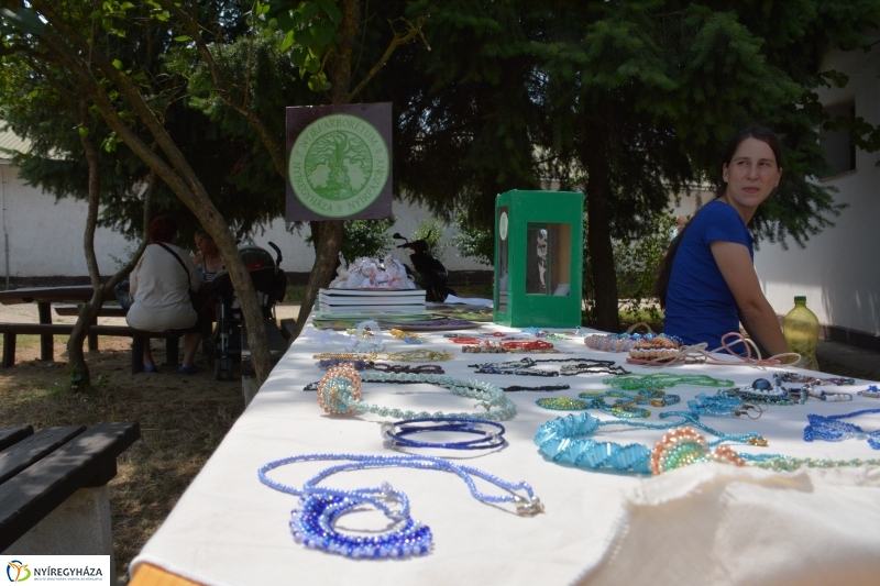 Igrice Nap Sóstóhegyen