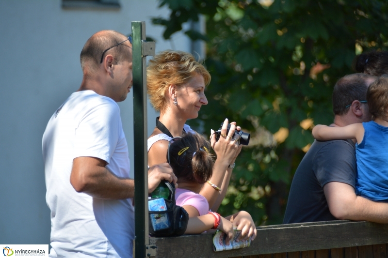 Kito-nak keresztelték az elefántbabát