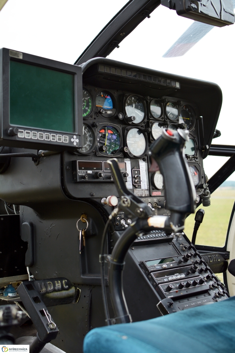 Parlagfű felderítés