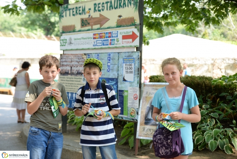 Ukrán gyerekek az Állatparkban
