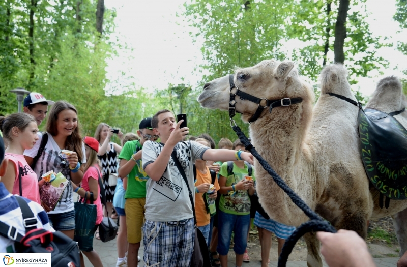 Ukrán gyerekek az Állatparkban