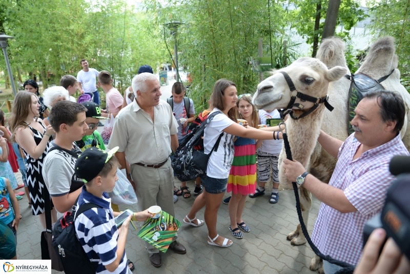 Ukrán gyerekek az Állatparkban