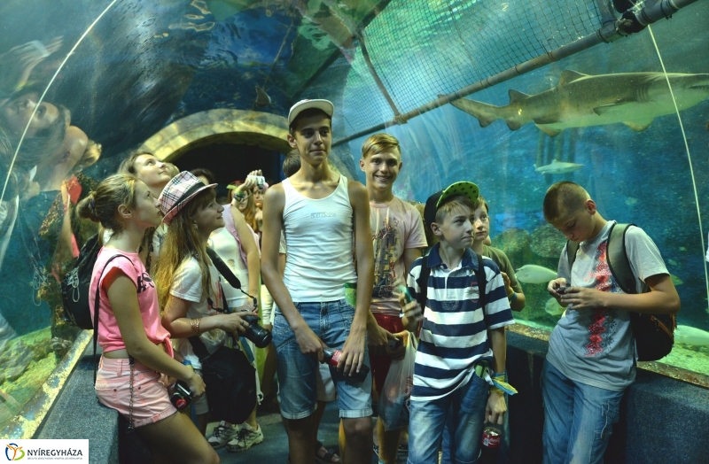 Ukrán gyerekek az Állatparkban