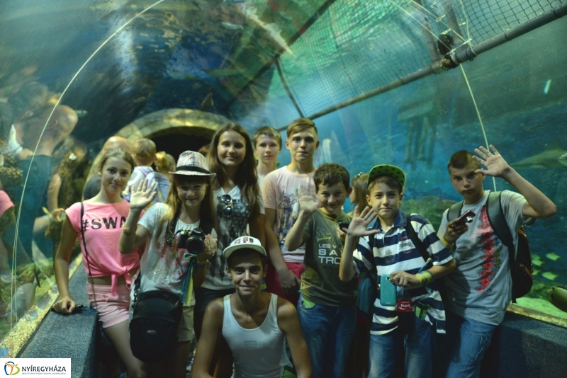 Ukrán gyerekek az Állatparkban