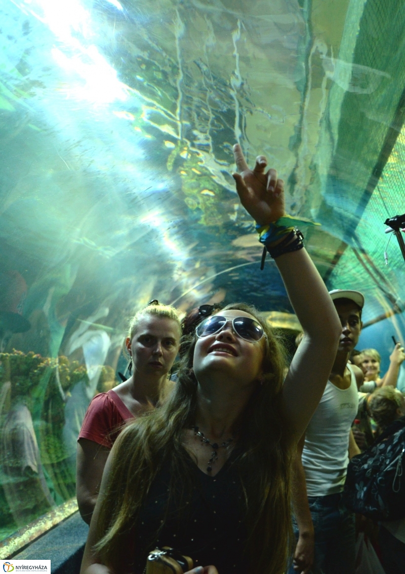 Ukrán gyerekek az Állatparkban