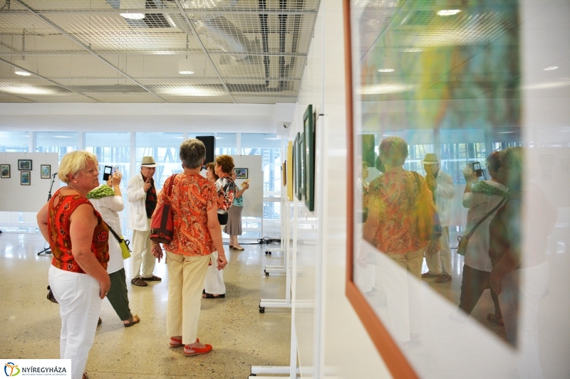 Kiállítás megnyitó a VMKK-ban