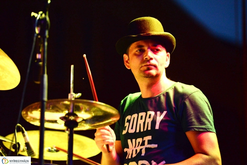 Könnyűzenei fellépők a Serfeszten