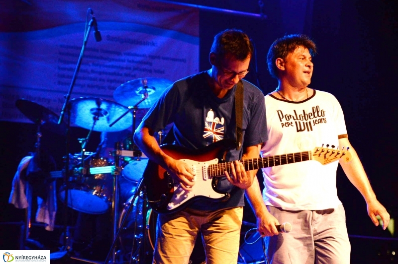 Könnyűzenei fellépők a Serfeszten